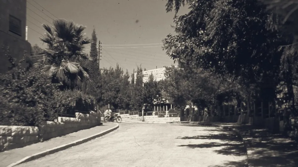 A quiet, tree-lined street in Jerusalem during a pause in the fighting, 1948.