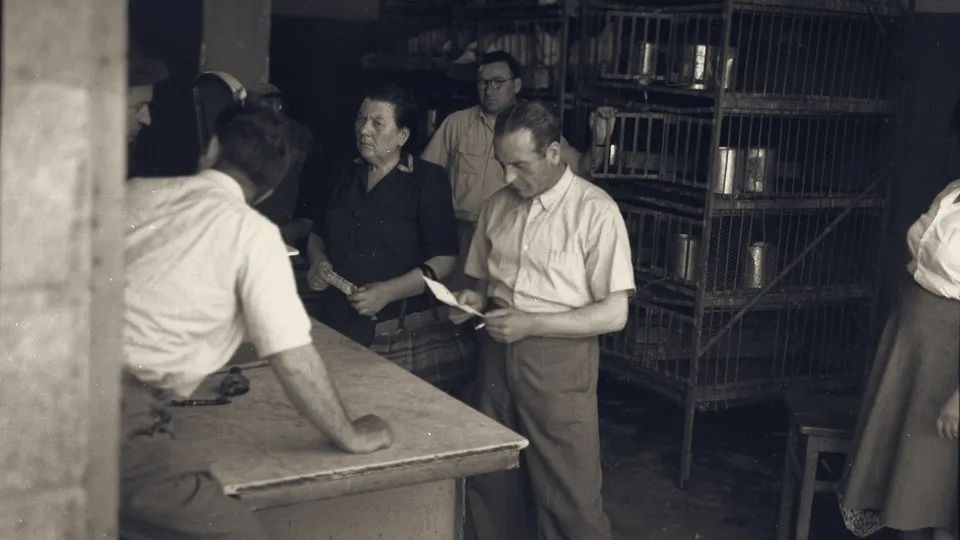 Customers at the counter of a Tel Aviv grocery with bare shelves under austerity, 1950.